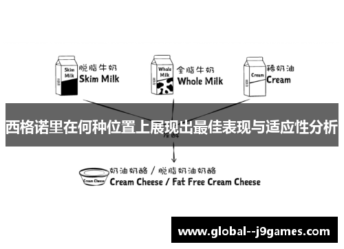 西格诺里在何种位置上展现出最佳表现与适应性分析