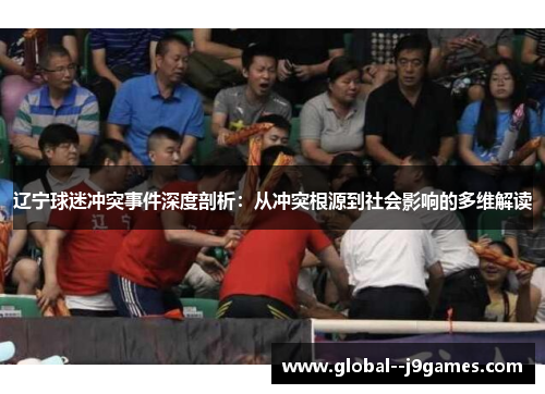 辽宁球迷冲突事件深度剖析：从冲突根源到社会影响的多维解读